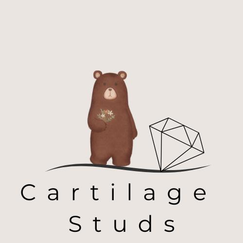 Cartilage Studs